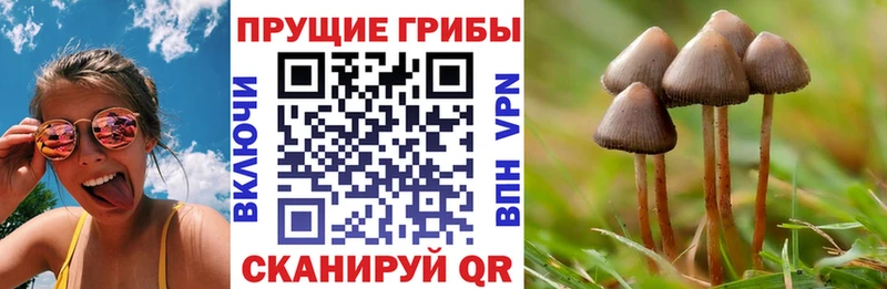 Псилоцибиновые грибы мицелий  Анапа 
